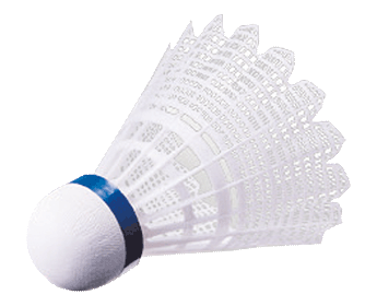 Can we use the nylon shuttlecock from p41 (alongside the M2000 tube)?