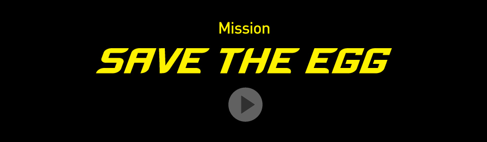 Home Page Banner - Mission: SAVE THE EGG