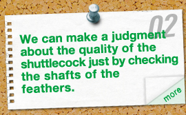 We can make a judgment about the quality of the shuttlecock just by checking the shafts of the feathers.