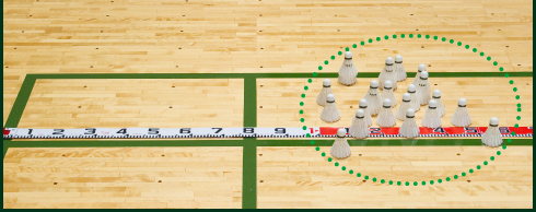 YONEX, Standard (F-15) Experiment
